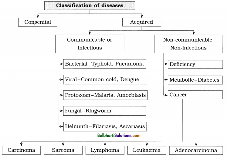 Maharashtra Board Class 12 Biology Notes Chapter 10 Human Health and Diseases 5