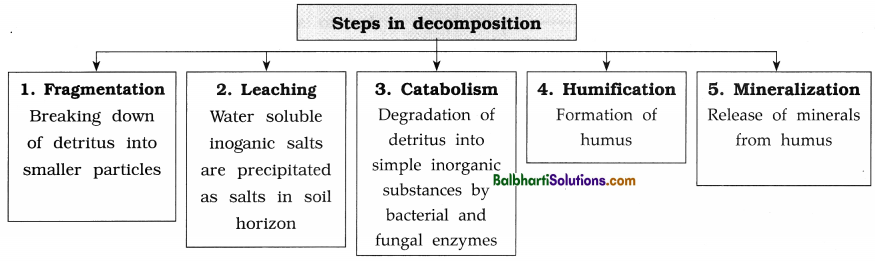 Maharashtra Board Class 12 Biology Notes Chapter 14 Ecosystems and Energy Flow 1