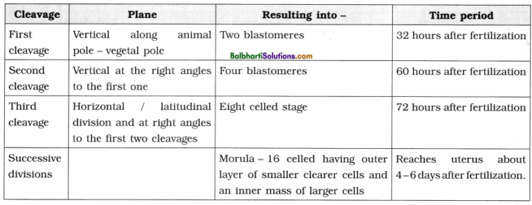 Maharashtra Board Class 12 Biology Notes Chapter 2 Reproduction in ...