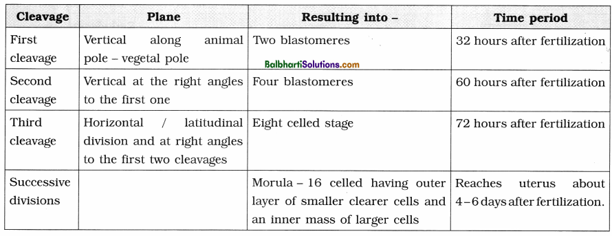 Maharashtra Board Class 12 Biology Notes Chapter 2 Reproduction in Lower and Higher Animals 11