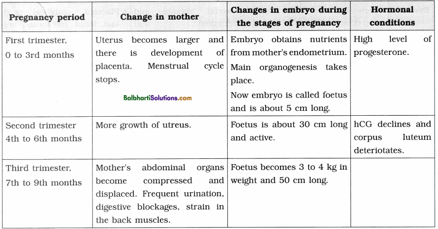 Maharashtra Board Class 12 Biology Notes Chapter 2 Reproduction in Lower and Higher Animals 13