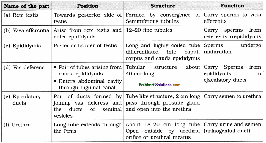 Maharashtra Board Class 12 Biology Notes Chapter 2 Reproduction in Lower and Higher Animals 2