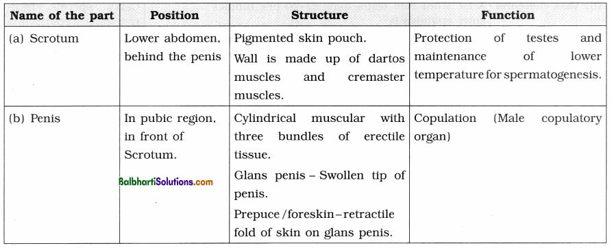 Maharashtra Board Class 12 Biology Notes Chapter 2 Reproduction in Lower and Higher Animals 4