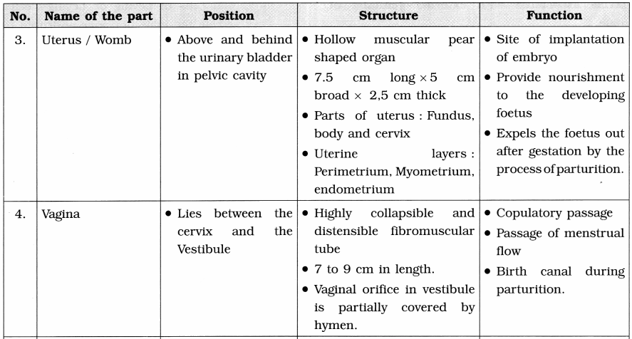Maharashtra Board Class 12 Biology Notes Chapter 2 Reproduction in Lower and Higher Animals 6
