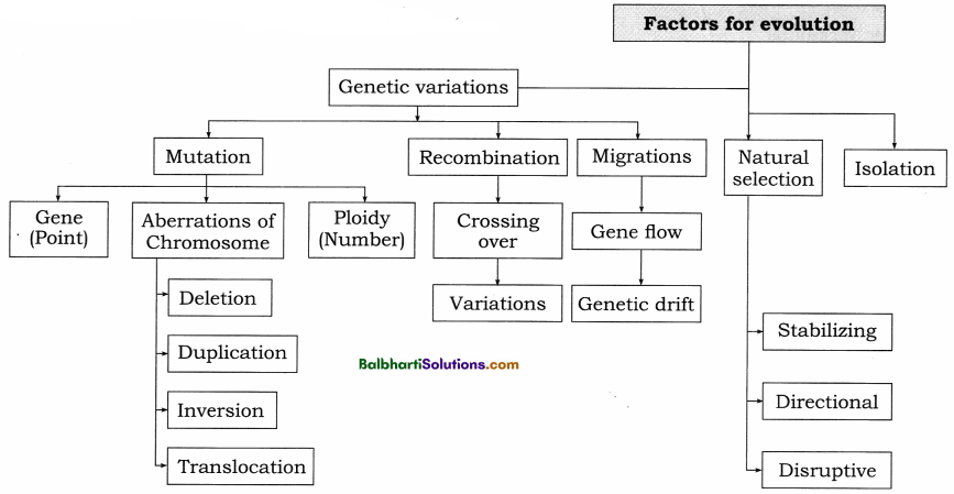 Maharashtra Board Class 12 Biology Notes Chapter 5 Origin and Evolution of Life 1