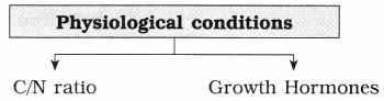 Maharashtra Board Class 12 Biology Notes Chapter 7 Plant Growth and Mineral Nutrition 1