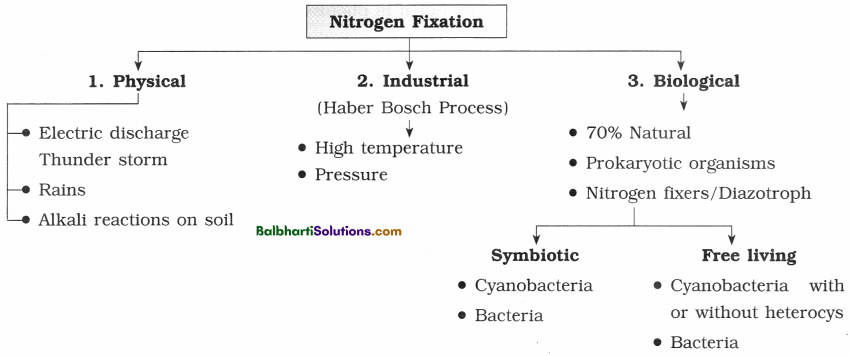 Maharashtra Board Class 12 Biology Notes Chapter 7 Plant Growth and Mineral Nutrition 11
