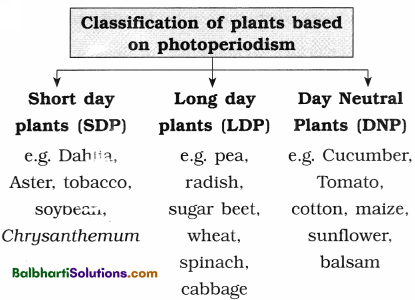 Maharashtra Board Class 12 Biology Notes Chapter 7 Plant Growth and Mineral Nutrition 7