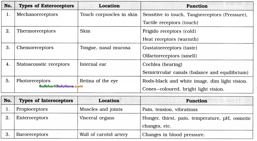Maharashtra Board Class 12 Biology Notes Chapter 9 Control and Co-ordination 13