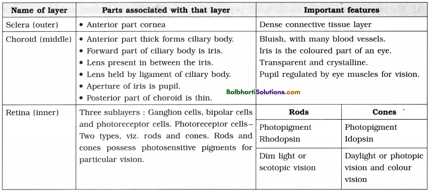 Maharashtra Board Class 12 Biology Notes Chapter 9 Control and Co-ordination 14