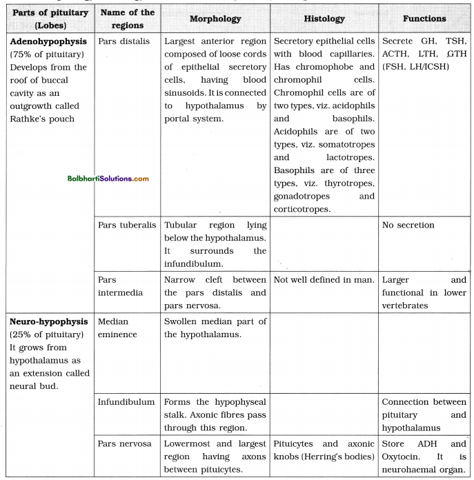 Maharashtra Board Class 12 Biology Notes Chapter 9 Control and Co-ordination 18