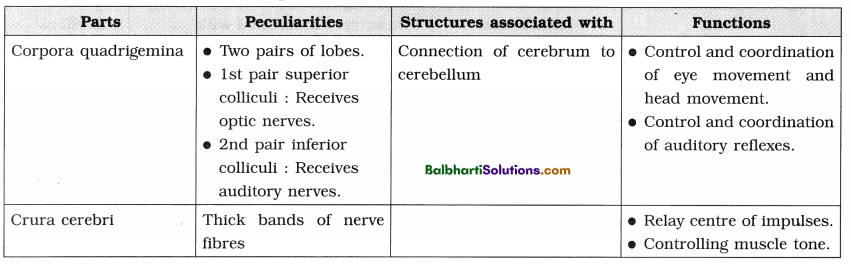 Maharashtra Board Class 12 Biology Notes Chapter 9 Control and Co-ordination 7