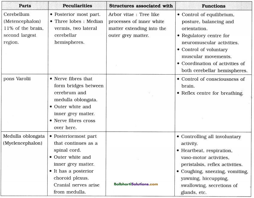 Maharashtra Board Class 12 Biology Notes Chapter 9 Control and Co-ordination 8