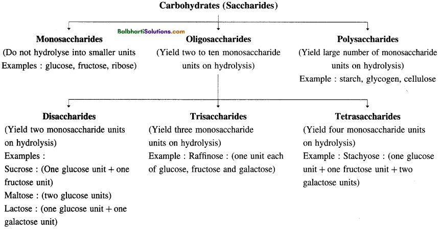 Maharashtra Board Class 12 Chemistry Notes Chapter 14 Biomolecules 1
