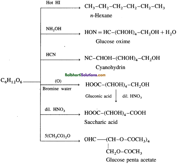 Maharashtra Board Class 12 Chemistry Notes Chapter 14 Biomolecules 3